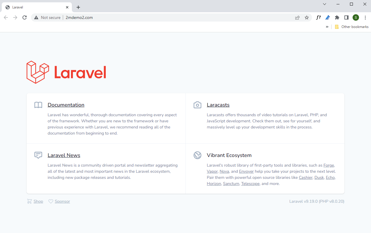 Laravel setup on shared server